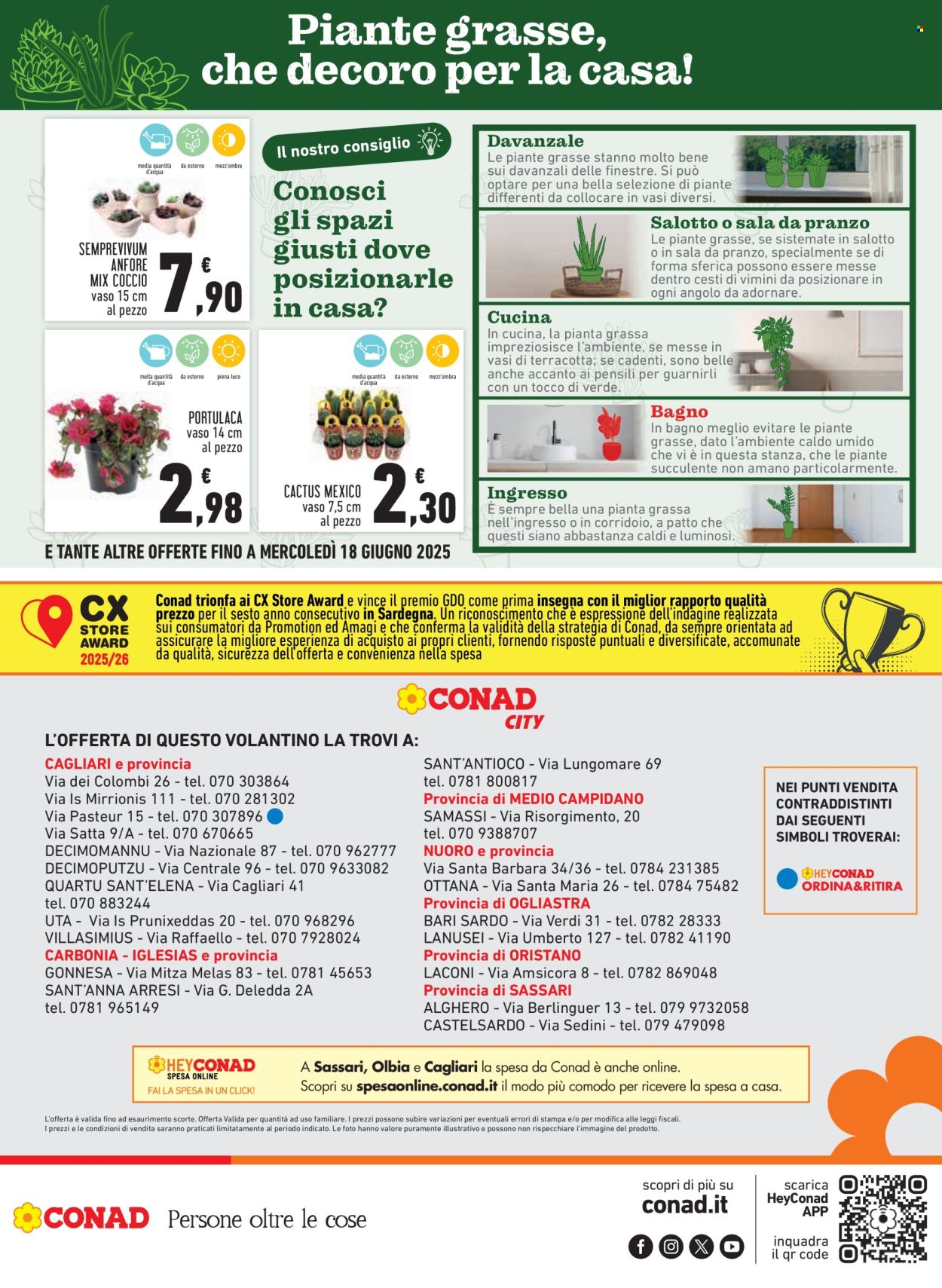 Volantino Conad - 5/6/2025 - 14/6/2025. Pagina 20