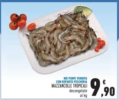 MAZZANCOLLE TROPICALI