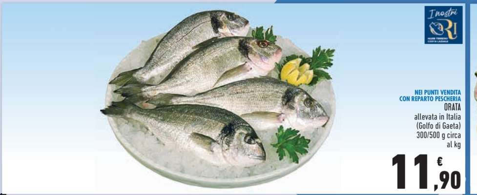Orata