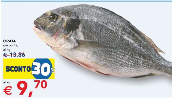 Orata