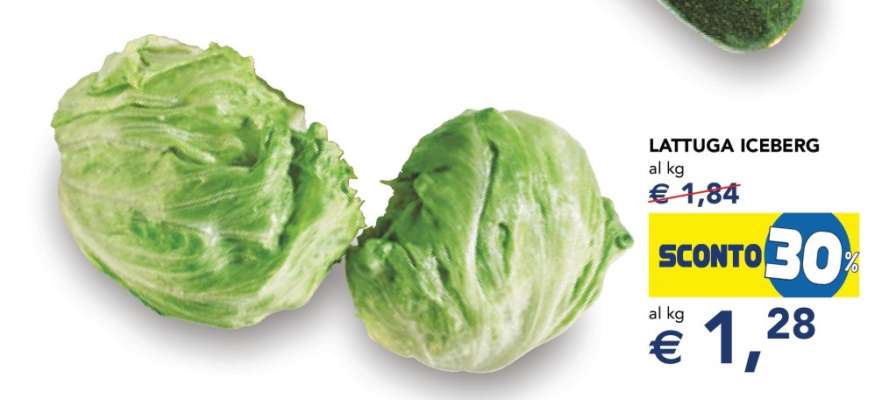 Lattuga Iceberg