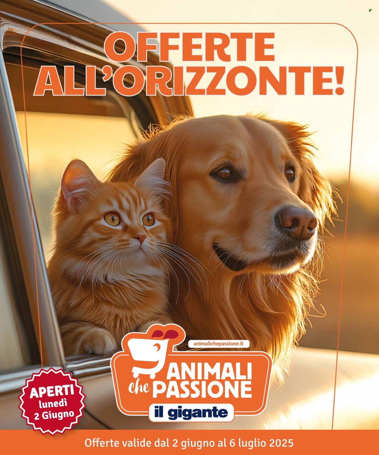 Volantino Il Gigante - 2/6/2025 - 6/7/2025. Pagina 1