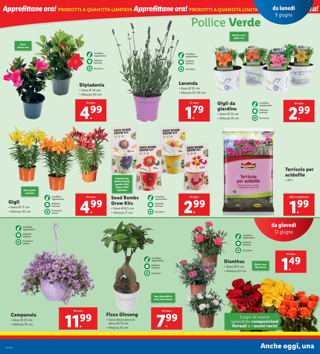 Volantino Lidl - 9/6/2025 - 15/6/2025. Pagina 16