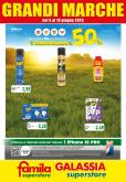 leaflet