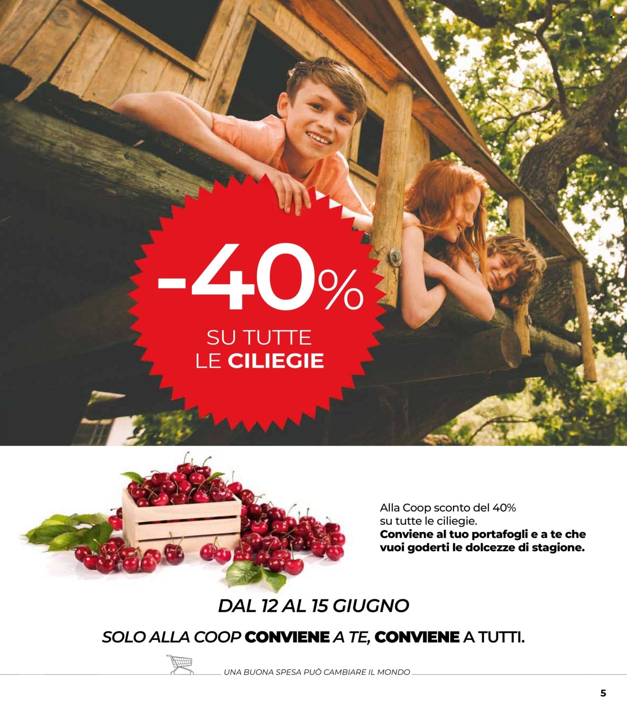Volantino Coop - 5/6/2025 - 18/6/2025. Pagina 5