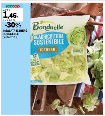 Insalata Iceberg Bonduelle