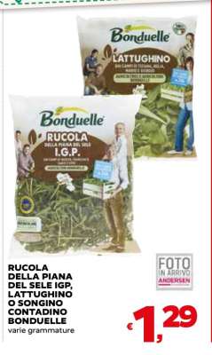 Rucola della Piana del Sele IGP, Lattughino o Songino Contadino Bonduelle
