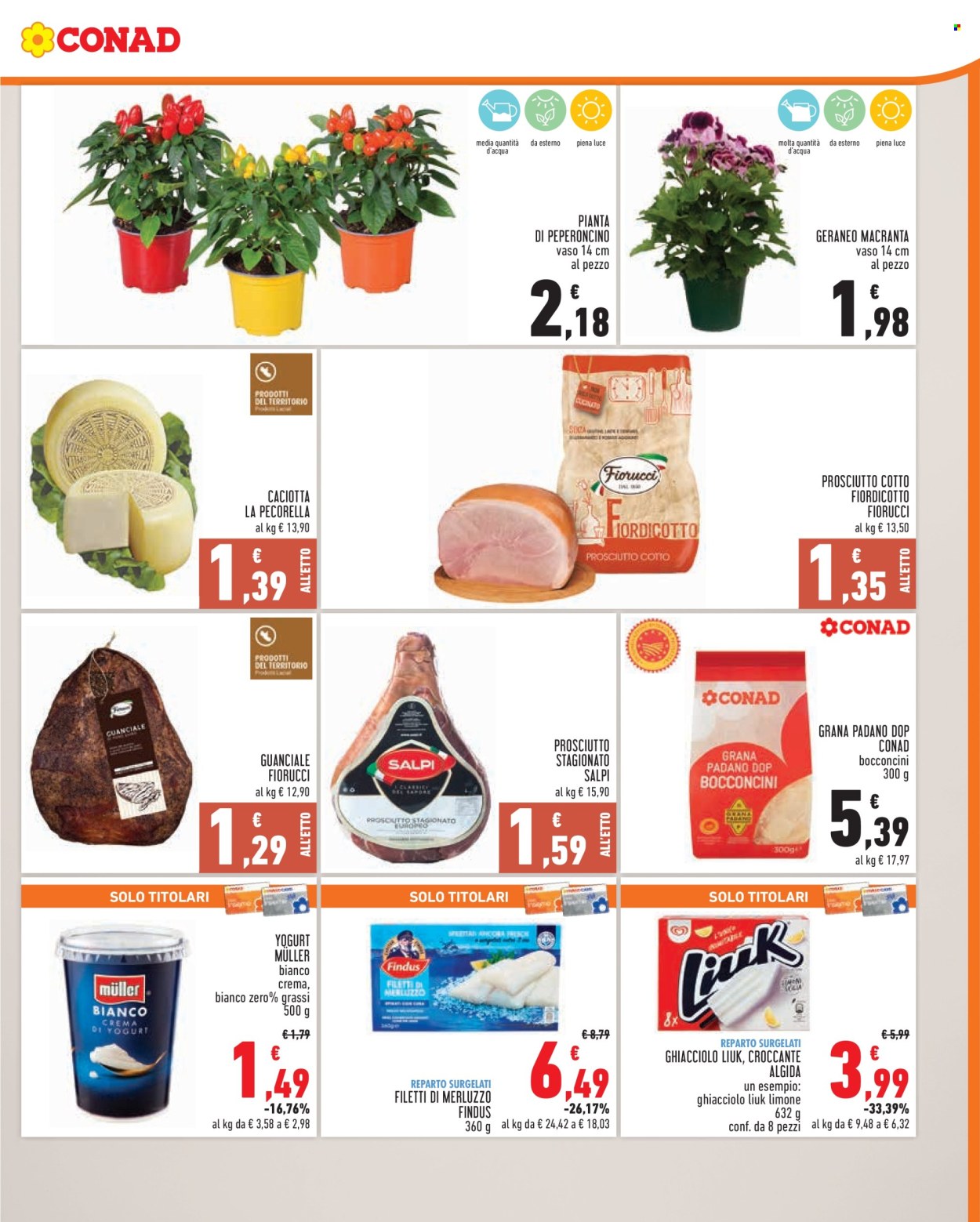 Volantino Conad - 11/6/2025 - 17/6/2025. Pagina 3