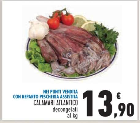 Calamari Atlantico