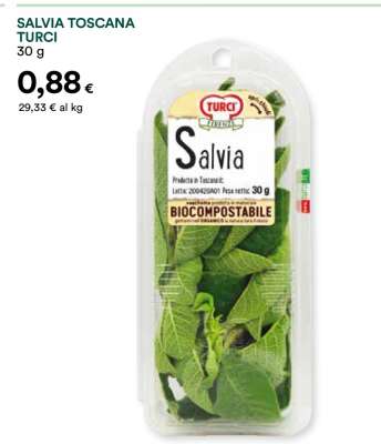 SALVIA TOSCANA TURCI