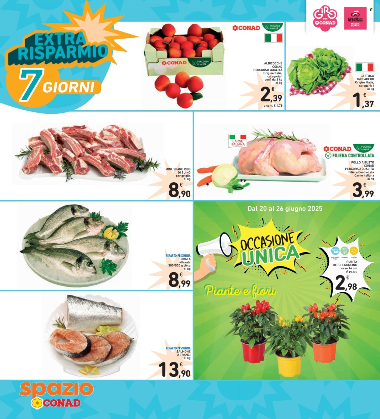 Volantino Spazio Conad - 13/6/2025 - 26/6/2025. Pagina 36
