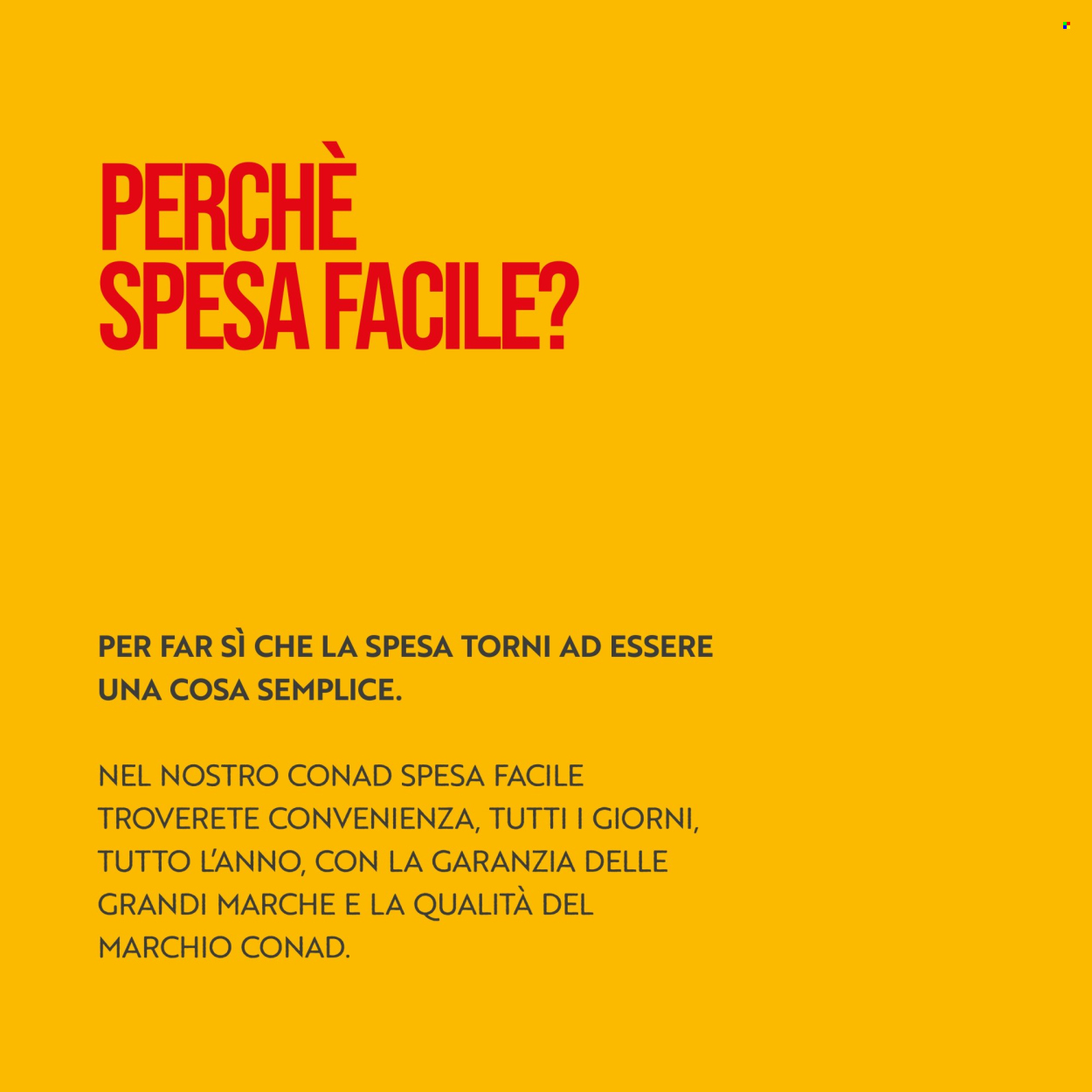 Volantino Spesa Facile Conad - 14/6/2025 - 31/7/2025. Pagina 4