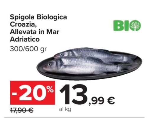 Spigola Biologica Croazia