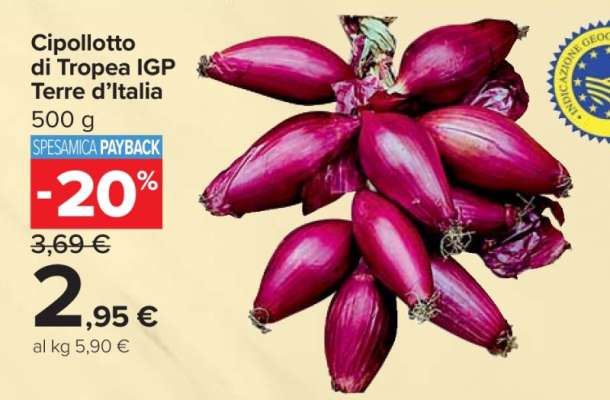 Cipollotto di Tropea IGP Terre d'Italia
