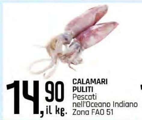 CALAMARI PULITI