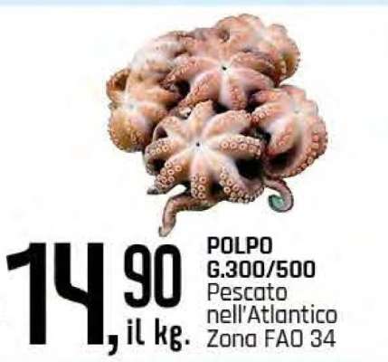 POLPO