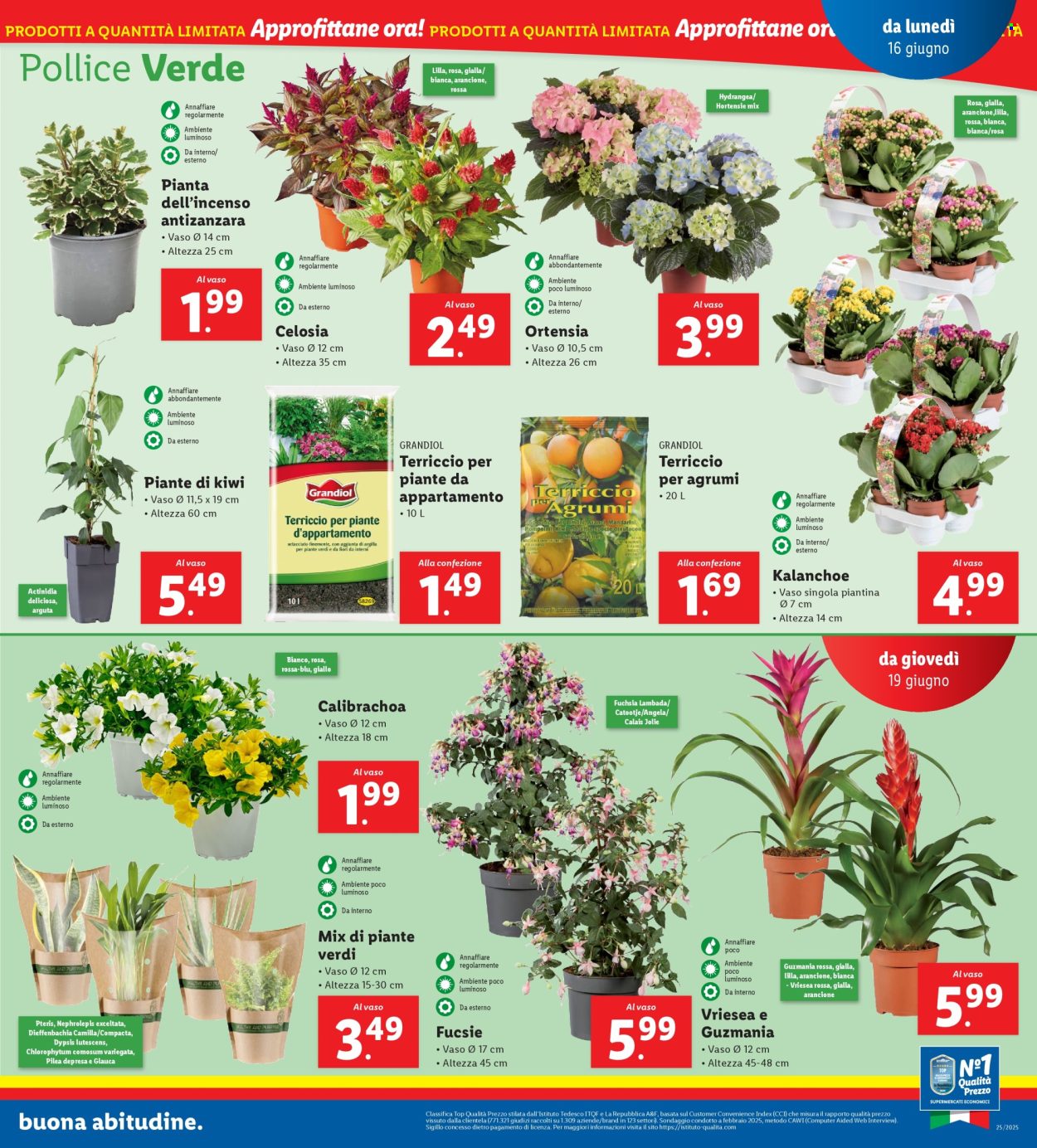 Volantino Lidl - 16/6/2025 - 22/6/2025. Pagina 27