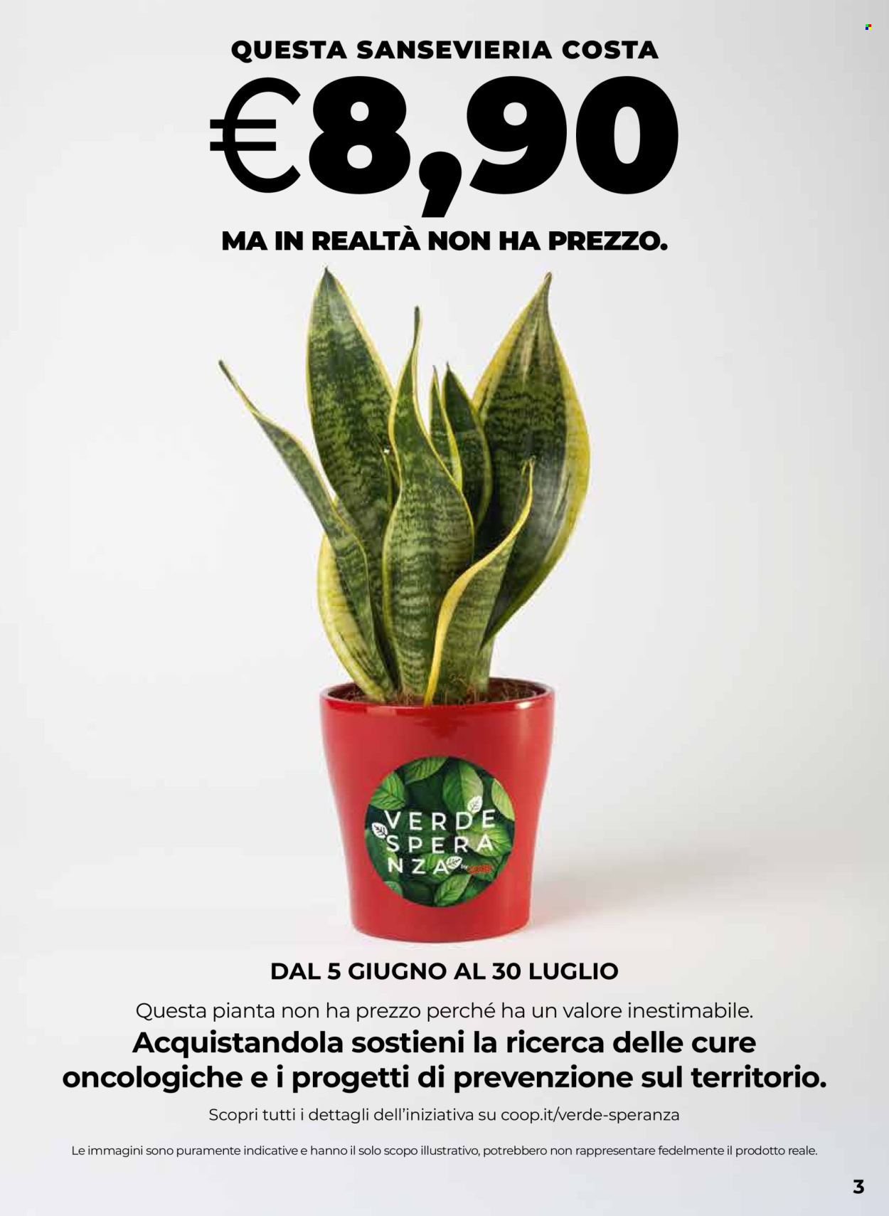 Volantino Coop - 12/6/2025 - 25/6/2025. Pagina 3