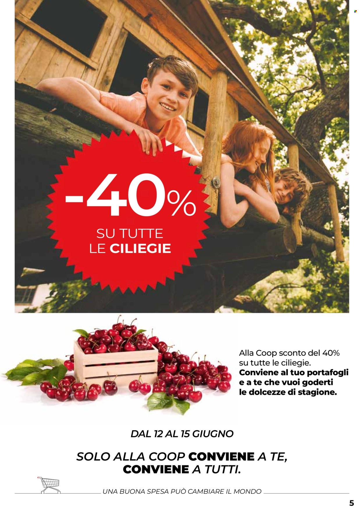 Volantino Coop - 12/6/2025 - 25/6/2025. Pagina 5