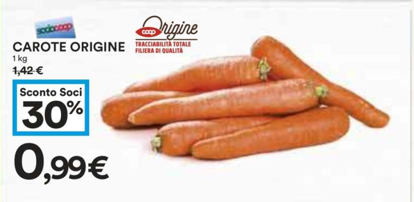CAROTE ORIGINE