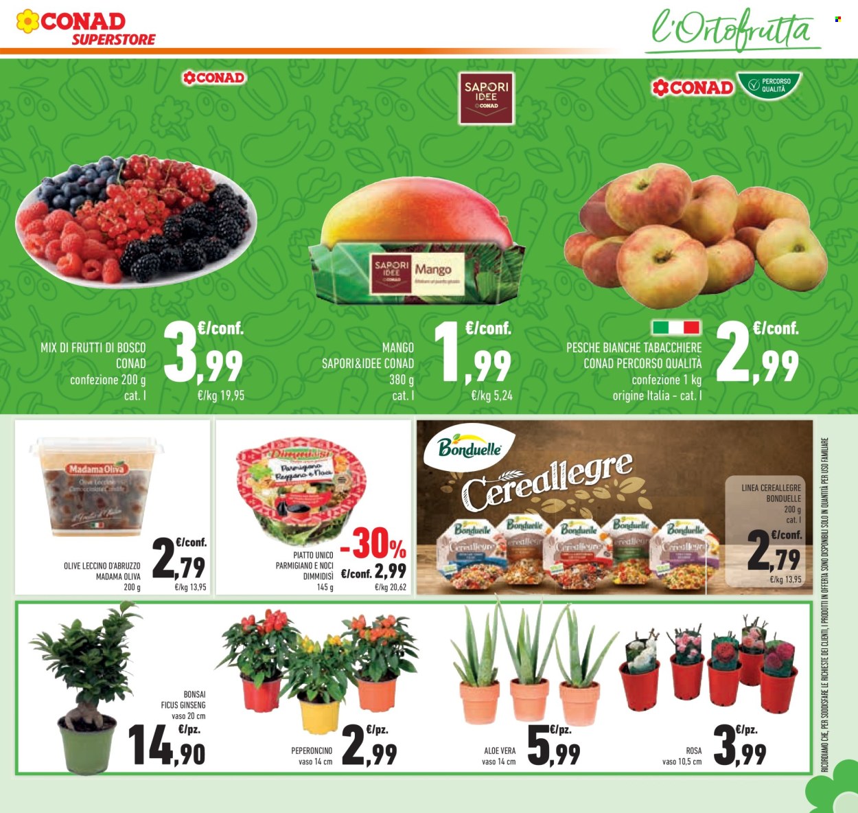 Volantino Conad Superstore - 18/6/2025 - 1/7/2025. Pagina 31