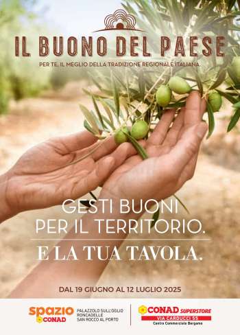 Volantino Conad - 19/6/2025 - 12/7/2025.