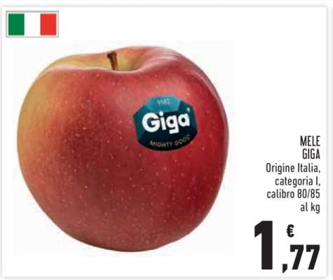 MELE GIGA