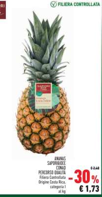 ANANAS SAPORÌ