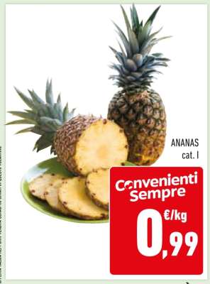 ANANAS cat. I