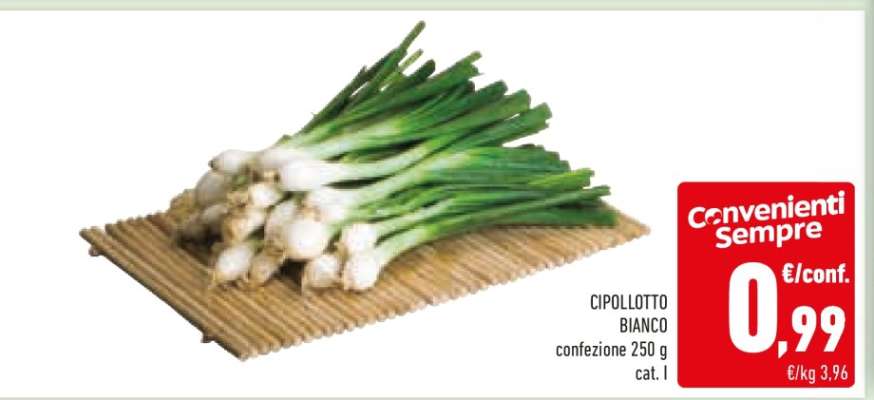 CIPOLLOTTO BIANCO