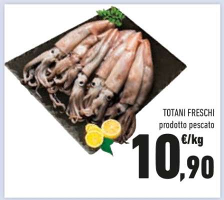 Totani Freschi