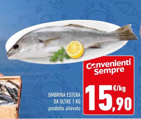 OMBRINA ESTERA