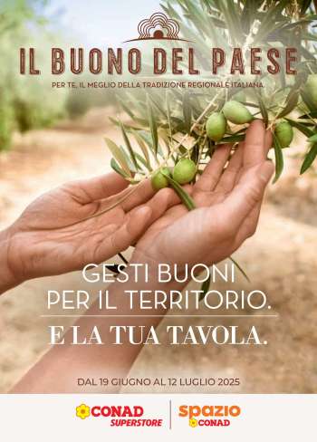 Volantino Conad - 19/6/2025 - 12/7/2025.