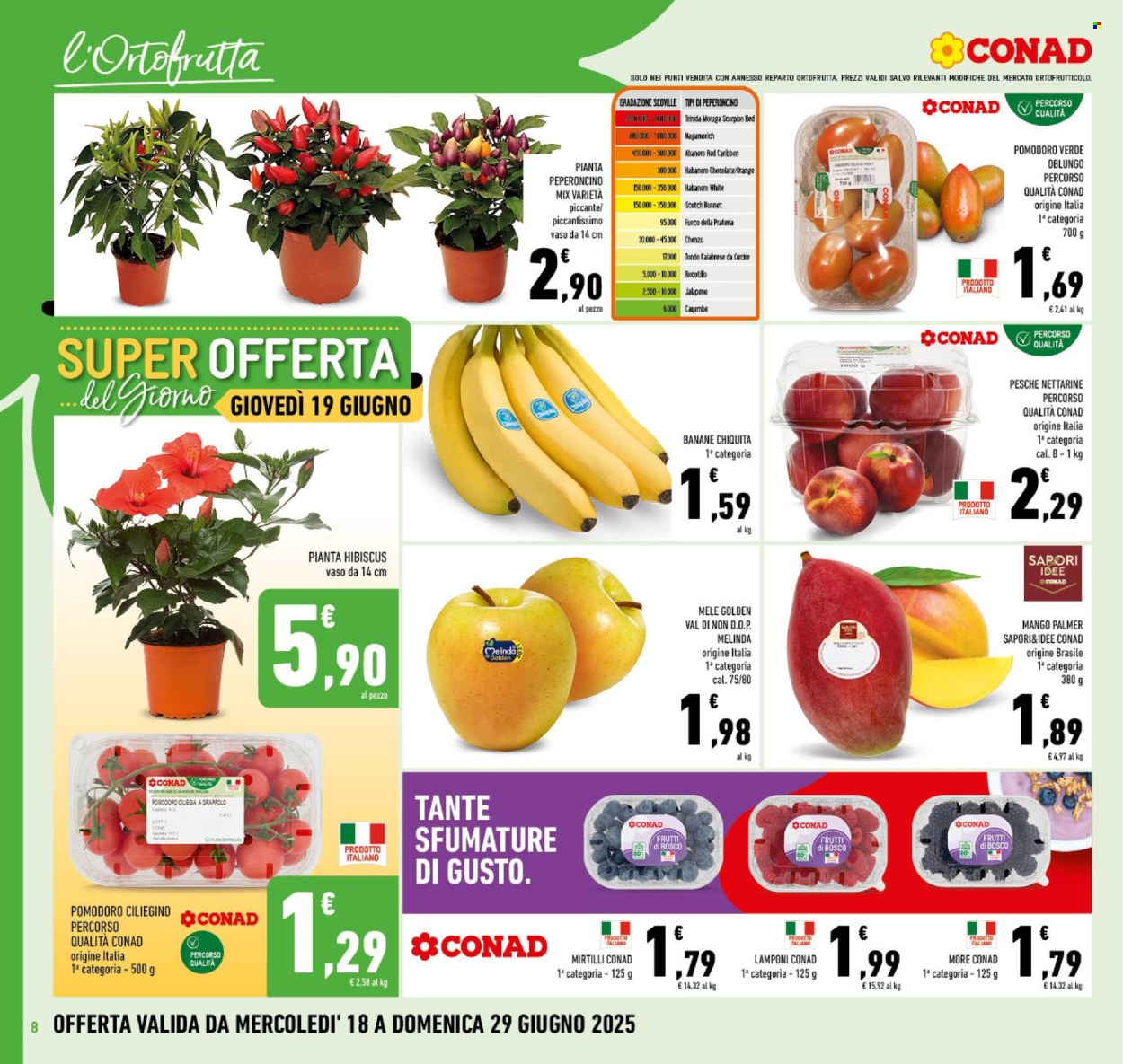 Volantino Conad - 18/6/2025 - 29/6/2025. Pagina 8