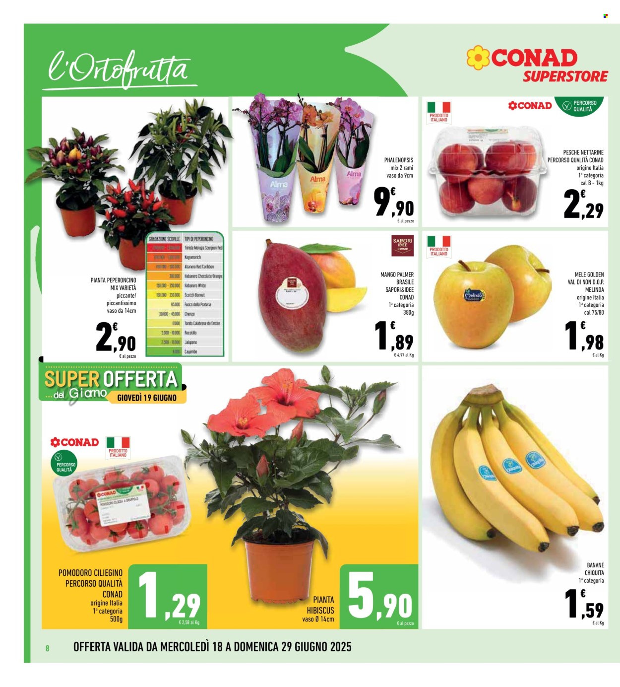 Volantino Conad Superstore - 18/6/2025 - 29/6/2025. Pagina 8