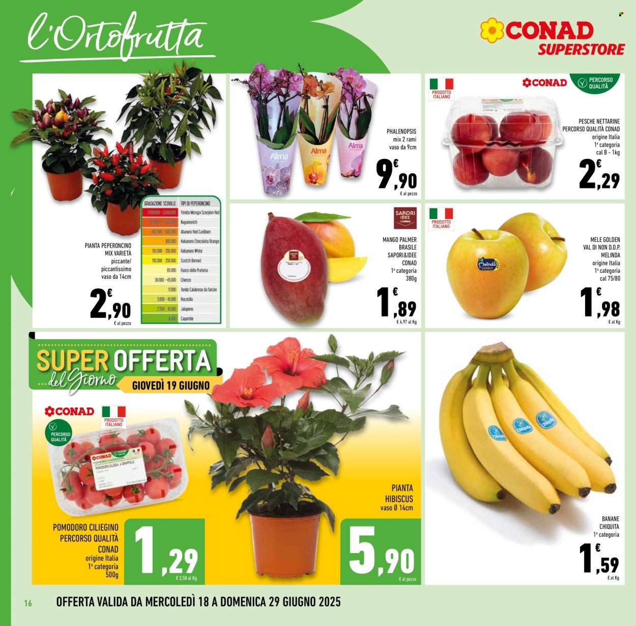 Volantino Conad Superstore - 18/6/2025 - 1/7/2025. Pagina 16