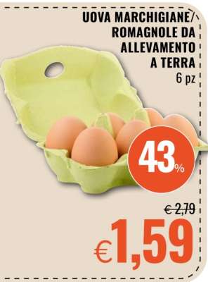 Uova Marchigiane/Romagnole da Allevamento a Terra