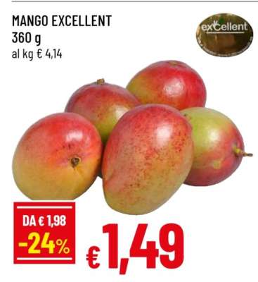 MANGO EXCELLENT