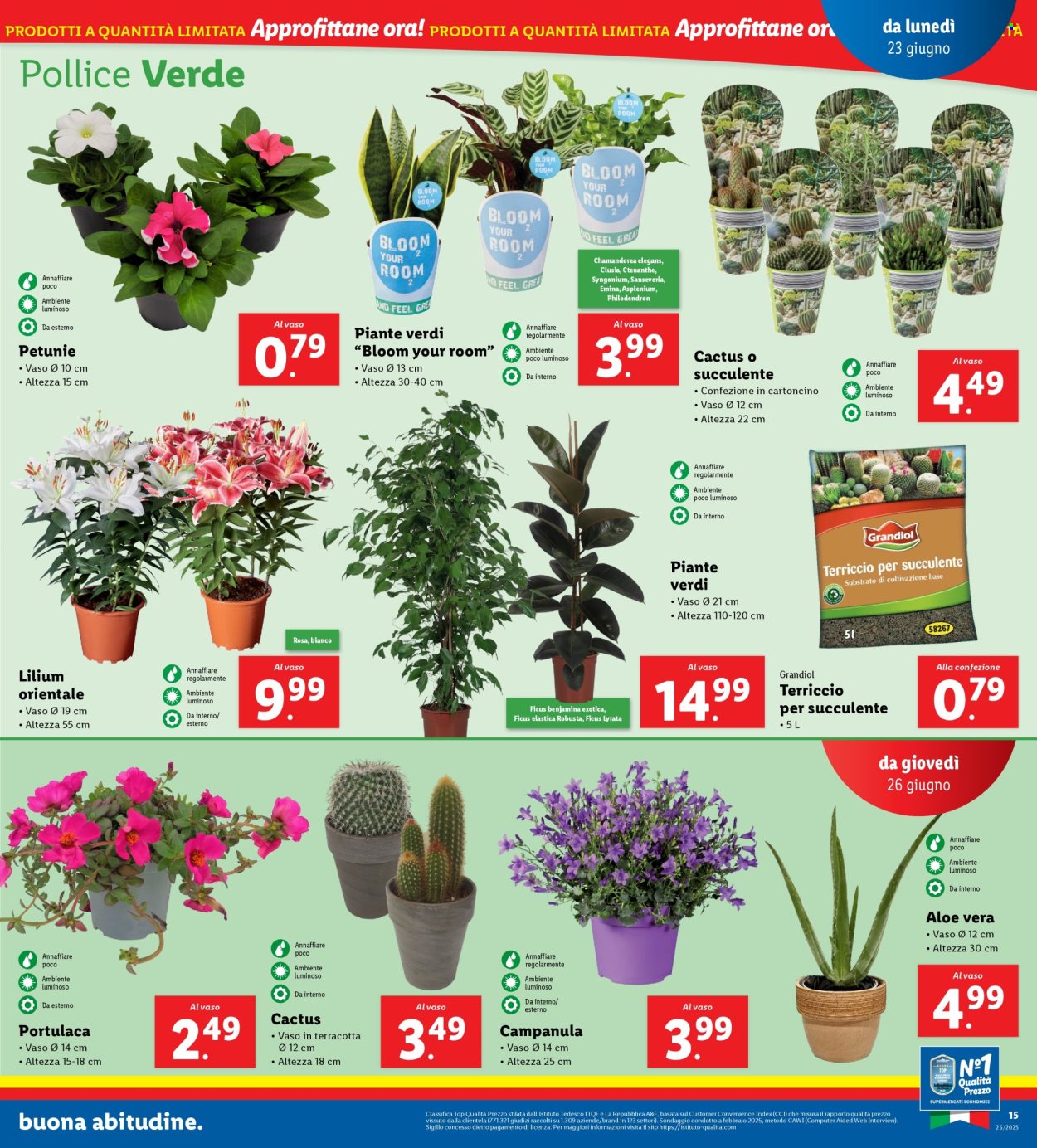 Volantino Lidl - 23/6/2025 - 29/6/2025. Pagina 19