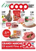 leaflet