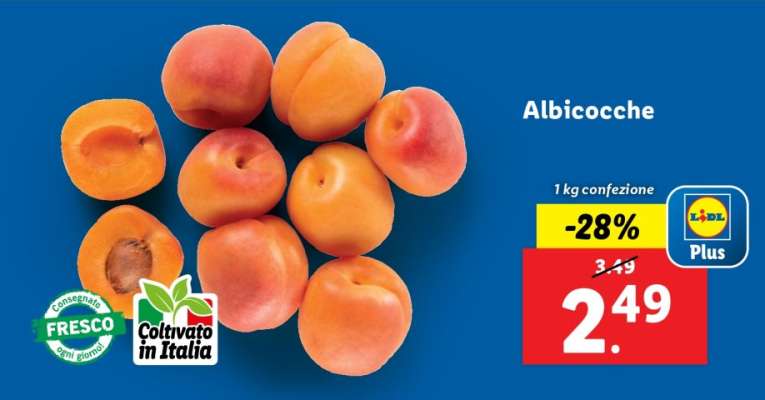 Albicocche