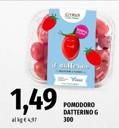 POMODORO DATTERINO G 300