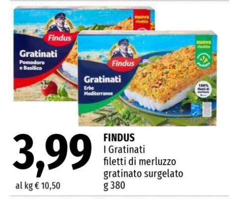 FINDUS