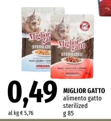 Miglior Gatto
