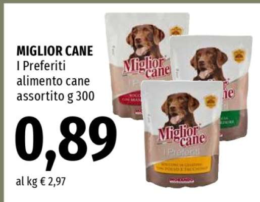 Miglior Cane I Preferiti