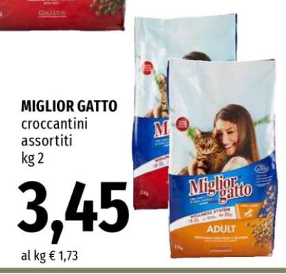 Miglior Gatto