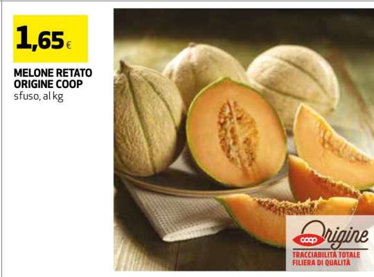 MELONE RETATO ORIGINE COOP