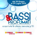 leaflet