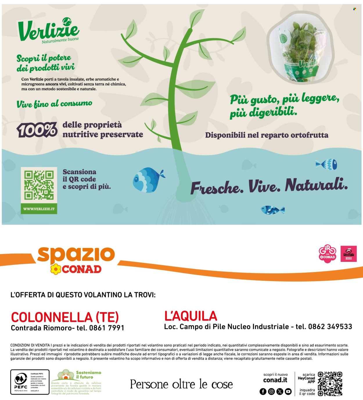 Volantino Spazio Conad - 23/6/2025 - 2/7/2025. Pagina 32