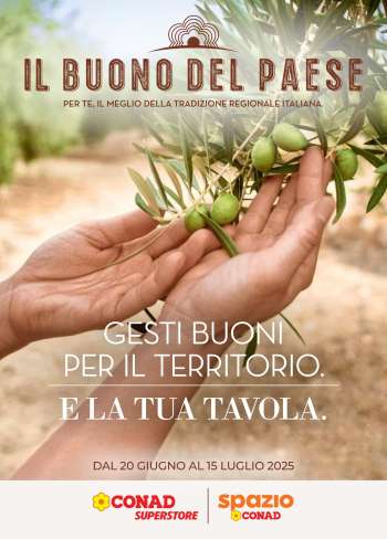 Volantino Conad - 20/6/2025 - 15/7/2025.